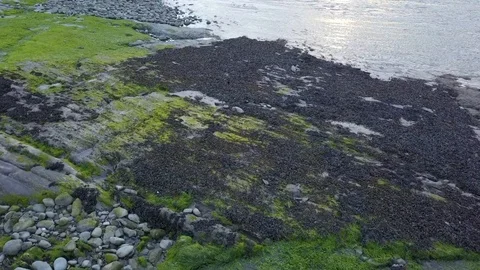 Low flight into sunset 스톡 동영상 108402382