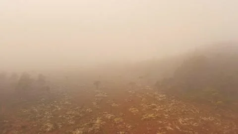 Low Flight Through Fog Over Norwegian Forest – Part 9 Stock Footage 318476814