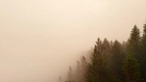 Low Flight Through Fog Over Norwegian Forest – Part 1 Stock Footage 318476825