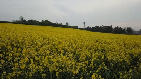 Low flight towards power lines 스톡 동영상 108692089