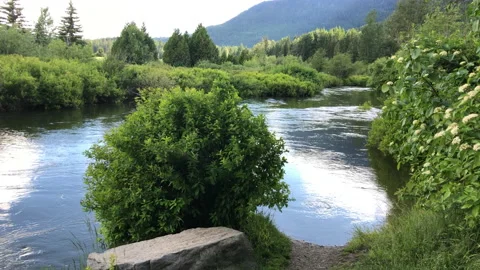 Low flowing river Stock Footage 146990981