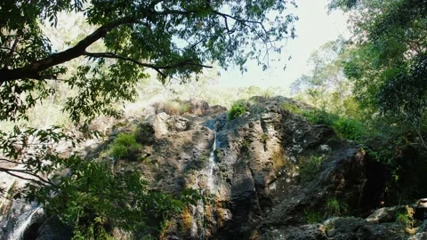 Low Flowing Waterfall With Lush Green Trees. Stock Footage
