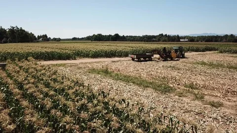 Low fly over of corn field and tractor DRONE Stock Footage 122452632