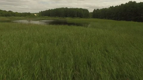 Low fly over the pond with clouds reflected on the water. Video stock 63653351