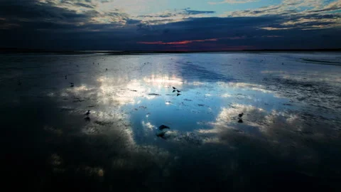 Low fly over sand and seabirds at low tide slow mo Stock Footage 285782939