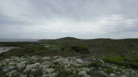 Low fly through along cliff side to Cape Bailey Lighthouse overcast day Stock Footage 275541812