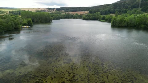 Low flyby above a green lake Stock Footage 247129341