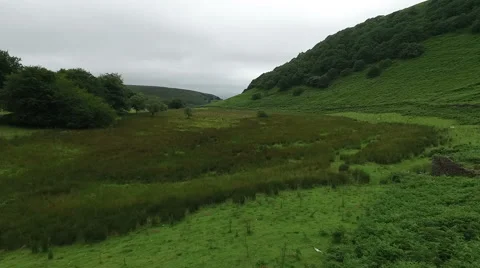 Low Flyby Over Green Fields Stock Footage 65247478