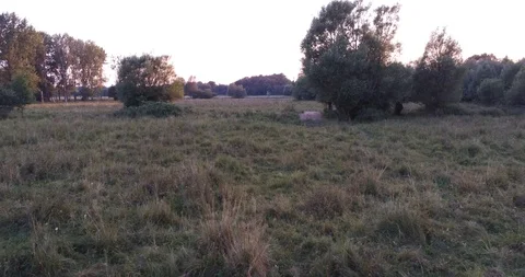 Low Flying 4K Drone Shot over British Marsh Land at Dusk Vídeo Stock 93241735