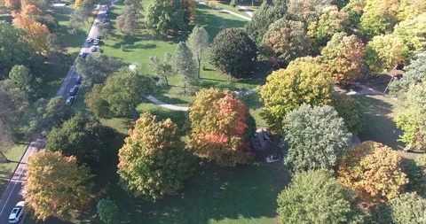 Low Flying Aerial Over Trees in Park With People on Walkways and Cars on Par Stock-Footage 124550516
