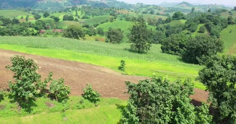 Low Flying Aerial Over Undulating Hilly Fields In The Western Ghats With Hut Stock Footage 154807418