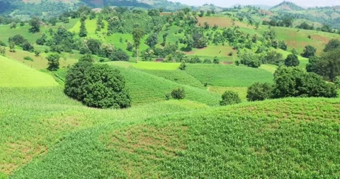 Low Flying Aerial Over Undulating Green Hills With Village Huts In Western-Ghats Stock Footage 154860436