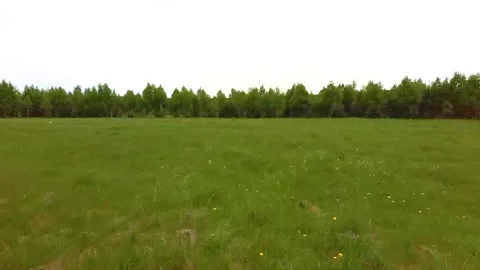 Low flying and taking off Stock Footage 133313829