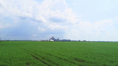 Low flying drone aerial view of a farming field. Stock Footage 115443143