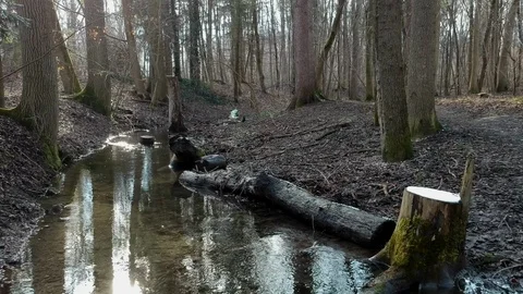 Low flying drone along a stream Stock Footage 87584886