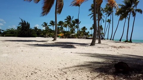 Low flying drone flying across white sand beach towards palm tree Stock Footage 113582238
