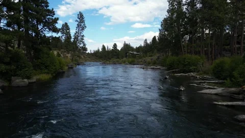 Low Flying Drone Over Beautiful River With Large Rocks and Logs  Stock Footage 249819948