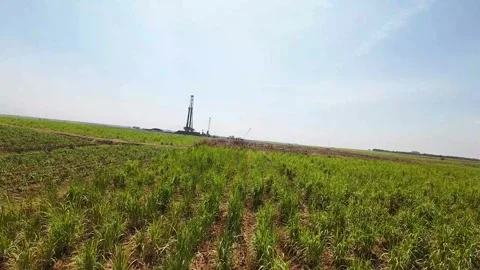 Low-flying drone over a beautiful rice field 動画素材 289261406