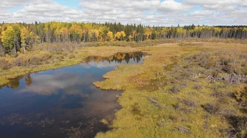 Low flying drone over a calm beaver pond with clouds reflecting in the water Stock Footage 116732008