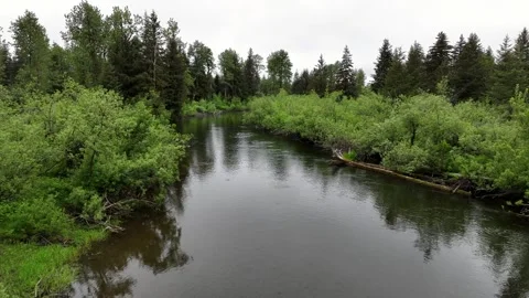 Low Flying Drone Over Clear River | Yakutat Alaska Wilderness Vídeos de archivo 331500401