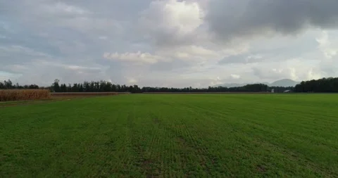 Low flying drone over grassland farming field in Slovenia Stock-Footage 147933460