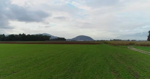 Low flying drone over grassland farming field in Slovenia Stock Footage 147933554