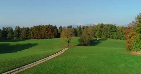 Low flying drone over green meadow grassland and forest Stock Footage 145982889