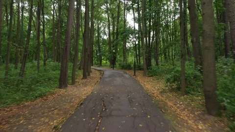 Low flying drone over park path in Krasnogorsk Stock Footage 326701267