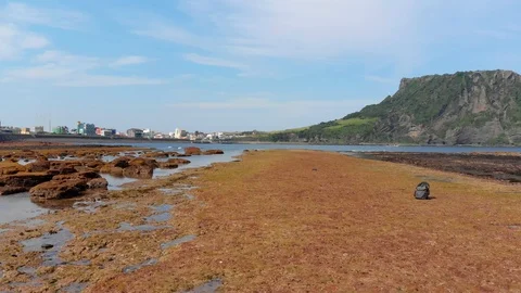 Low flying drone over rocks and sea Video stock 91092197