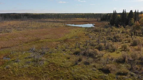 Low flying drone over a small calm beaver pond with clouds reflecting. Stock Footage 116732371