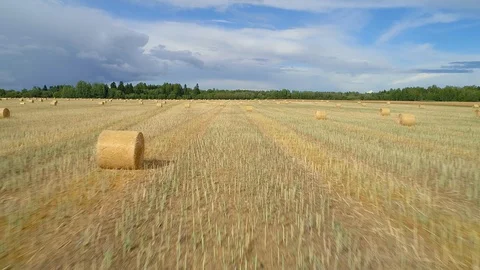 Low flying drone shot between hay bales Vidéo 93634550