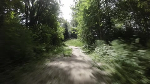 Low Flying Drone Shot Going Down Hiking Trail. Desaturated Stock Footage 243341285