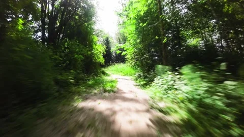 Low Flying Drone Shot Going Down Hiking Trail. Color Graded Stock Footage 243341322