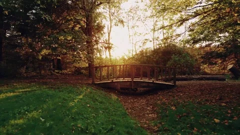 Low Flying Drone Shot Towards A Walking Bridge With Fallen Leaves And Sun Video stock 255145350