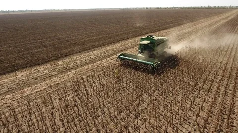 A low flying drone winging shooting askew a combine harvester raking sunflower. Stock-Footage 82472786