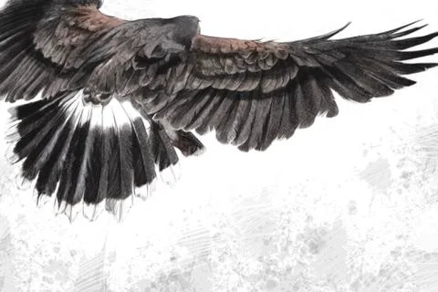Low-flying eagle Illustrazione stock