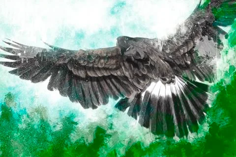 Low-flying eagle Stock Illustration