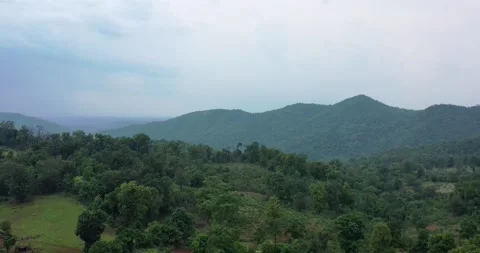 Low Flying Over Dense Forest Canopy in Tropical Rainforest of India Stock Footage 154848310