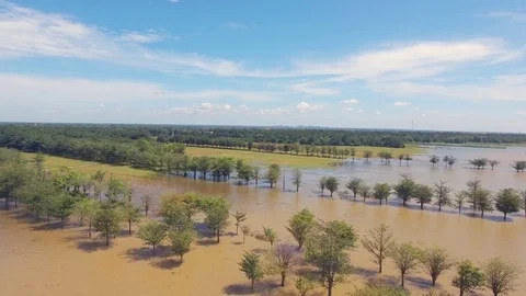 low flying over flooded agricultural fields Stock Footage