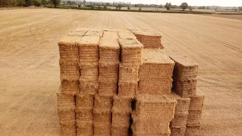 Low flying over haystack 2 Stock Footage 94670788