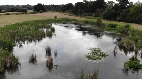 Low flying over the swamp in the field. Aerial view. Stock Footage 119376457