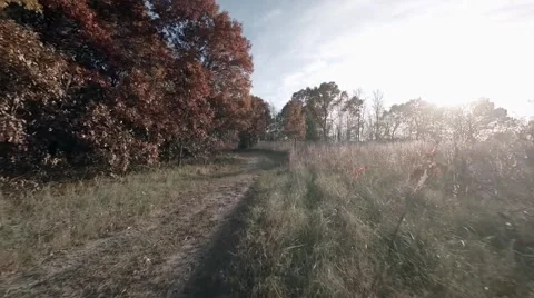 Low flying over weeds.mp4 Video stock 48332800