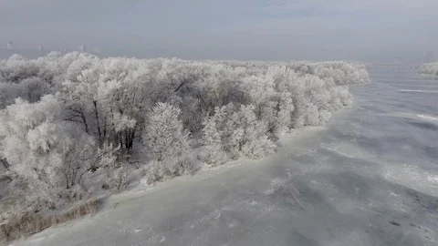 Low flying over a winter forest. Stock Footage 117298100