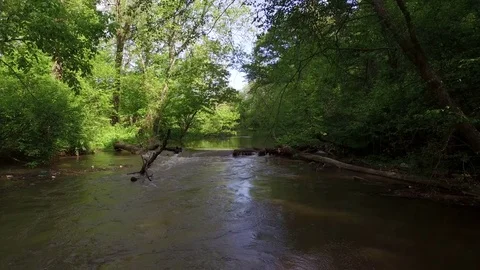 Low flying up River in the shade. 4k drone shot. Summer Day shade. Stock Footage 85189968
