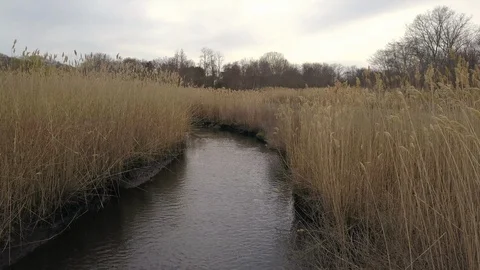 Low flying through marshland - spring  Stock Footage 129451443