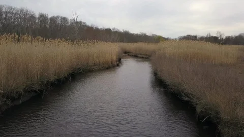 Low flying through marshland - spring  Stock Footage 129451461