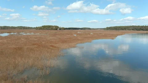 Low flyover of coastal tide marsh in South Carolina Stock-Footage 164475424