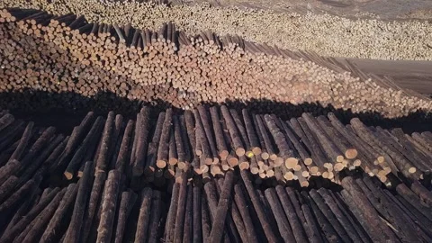 Low flyover: Large stacks of logs in log yard of pulp and paper mill Stock Footage 319078538