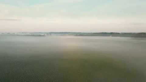 Low Fog Over Corn Field Sunrise - 4K Aerial Stock Footage 158284547