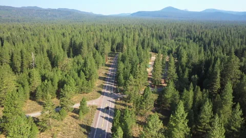 Low forward flight tracking a car on a road in a lush green forest in Oregon Stock Footage 143799282